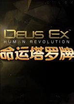 命运塔罗牌