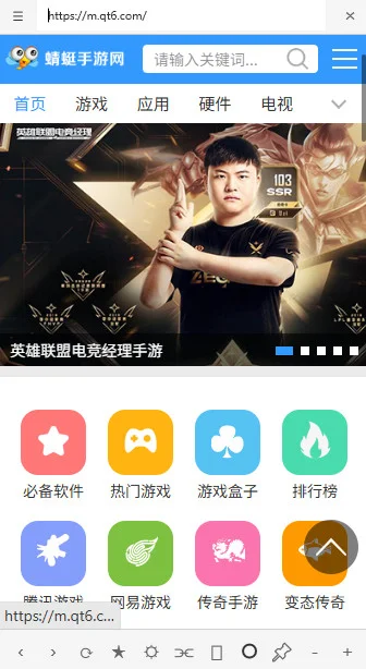 TrayChrome(托盘浏览器)预览图