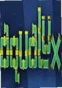 ��ˮ�ܺ�������԰� Pipe Mania Deluxe2026 �����