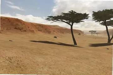 �������� �����⼮����Ԥ��ͼ