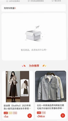 中兔预览图