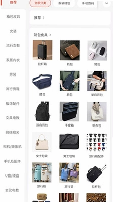 中兔预览图