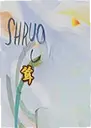 �ʼ絺-���Shrug Island - The Meeting1.0.0���°�