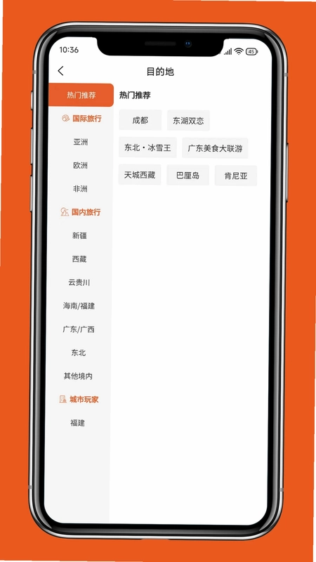 彩鲤官方版预览图