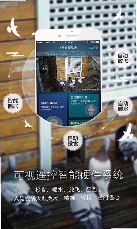 爱鸽者预览图