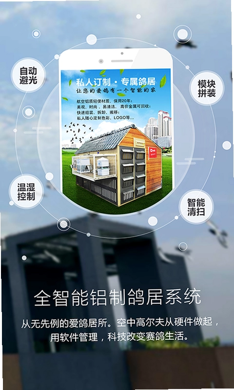 爱鸽者预览图