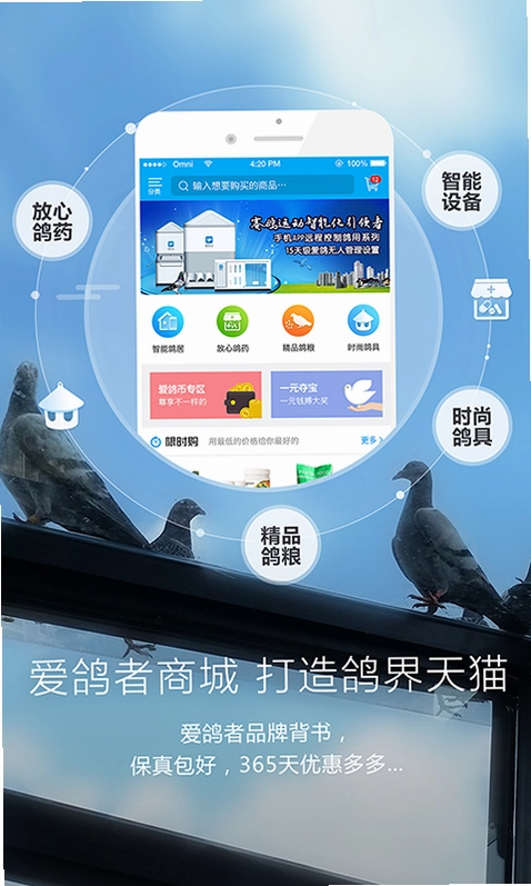 爱鸽者预览图