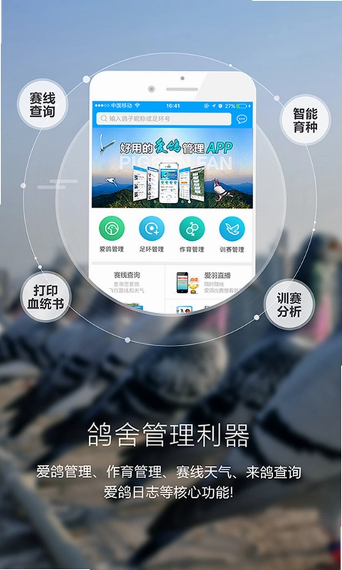 爱鸽者预览图