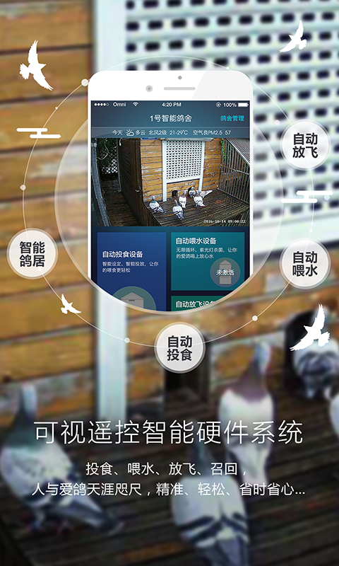 爱鸽者足环绑定