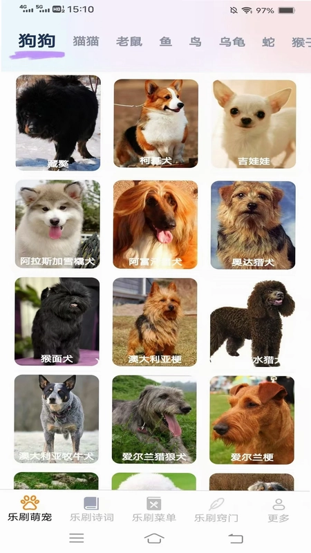 风云乐刷预览图