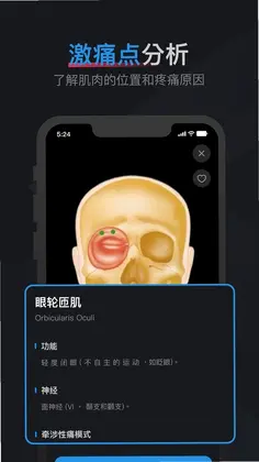 ���⼤ʹ��ͼ��Ԥ��ͼ