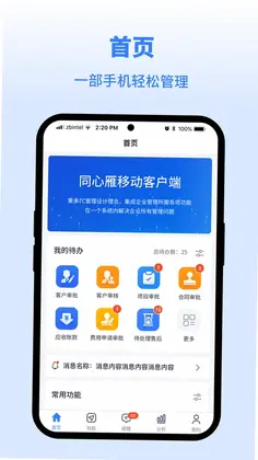 同心雁SERP预览图