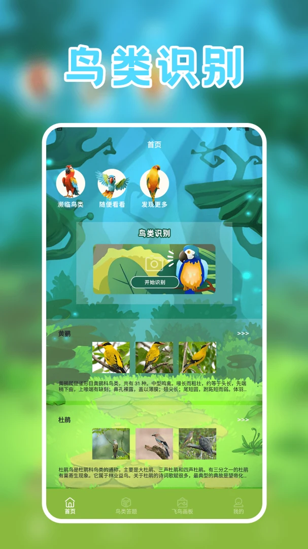 孤独的鸟预览图