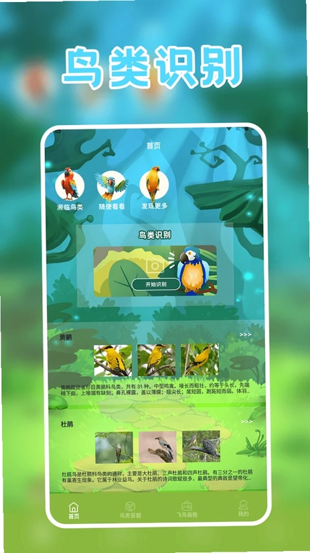 孤独的鸟官方版预览图