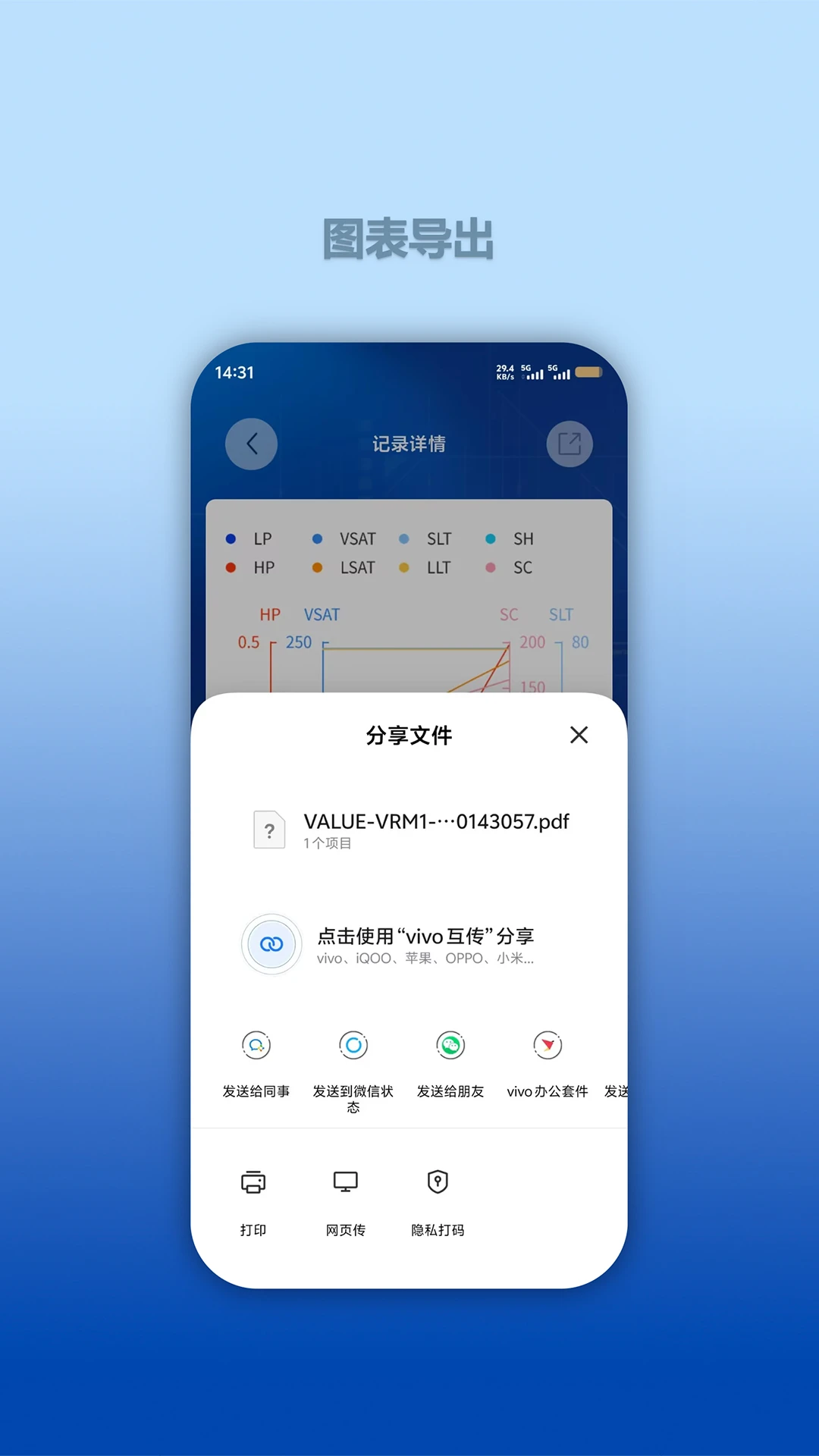 Hi VALUE报告导出
