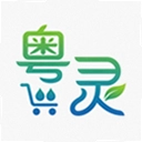 粤灵app安卓版