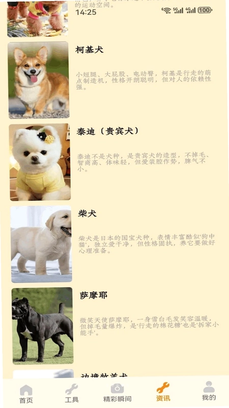 Tiny Smart app预览图