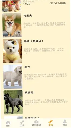 狗狗家园软件免费预览图