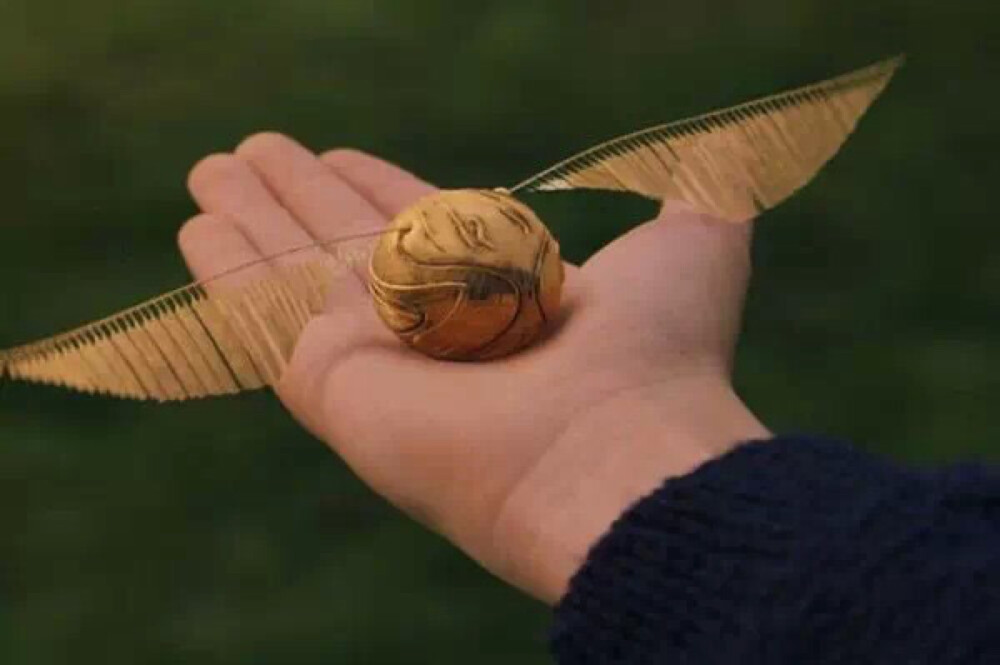 哈利波特魁地奇世界杯金色飞贼特写