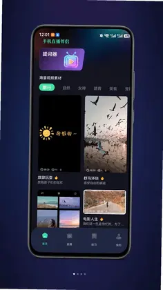 ֱ����������appԤ��ͼ