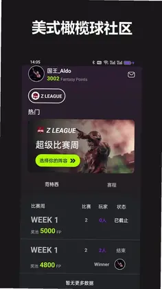 FF ��ʽ�����AppԤ��ͼ
