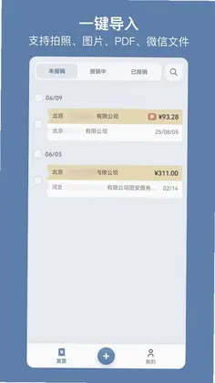 多多发票预览图