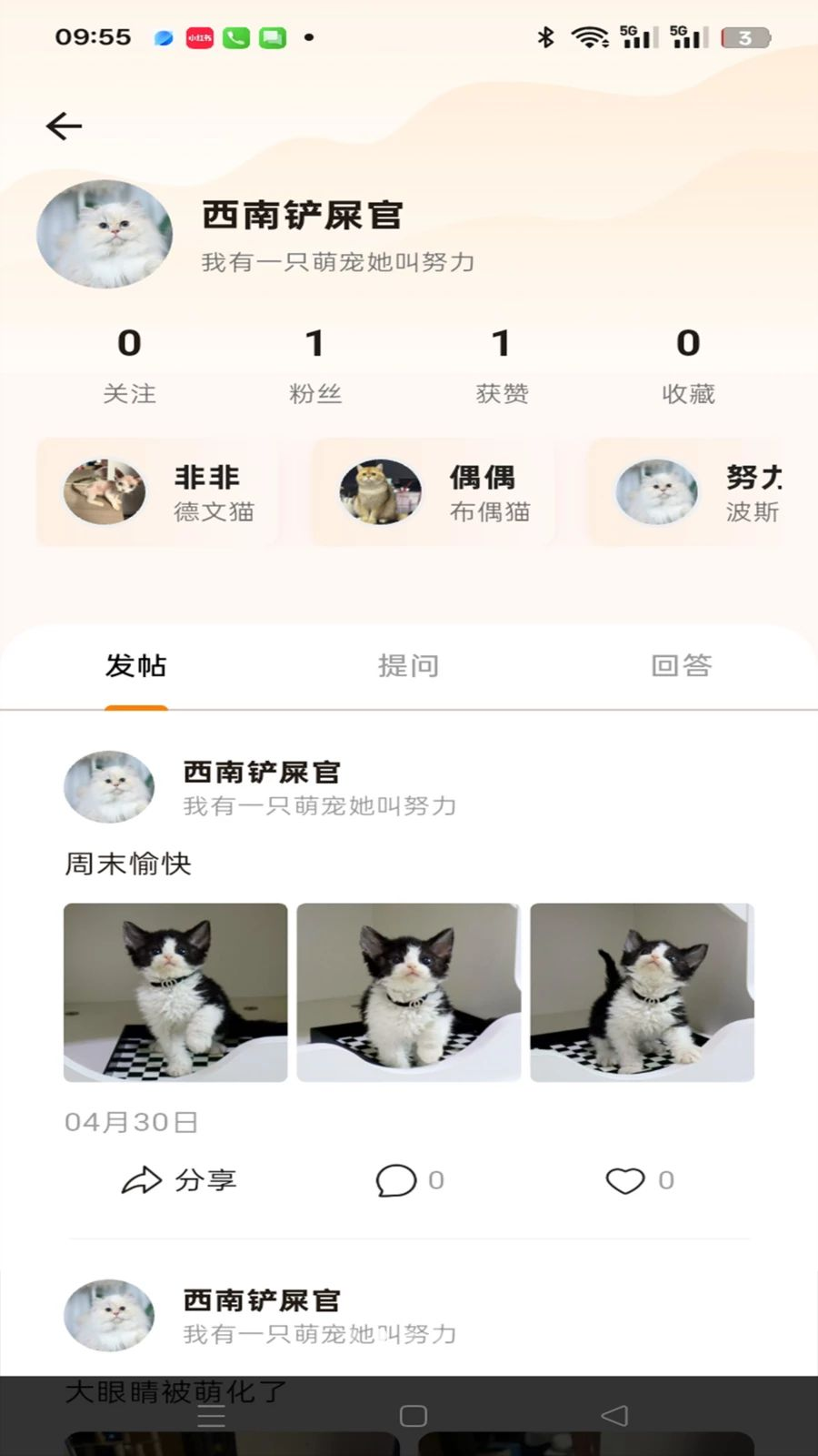 TaTaPaws����չʾ