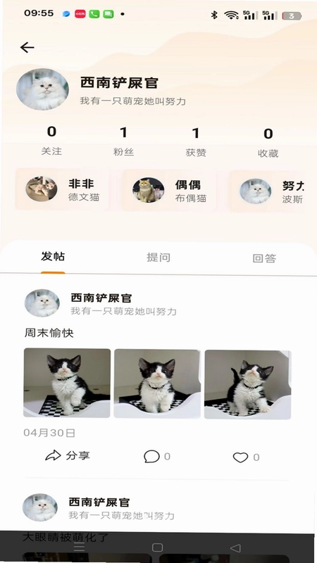 TaTaPaws��һ��Ԥ��ͼ