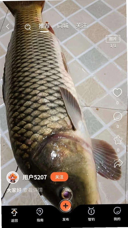 小红鱼官方版预览图