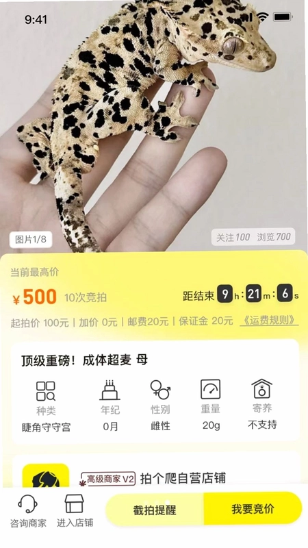 拍个爬预览图