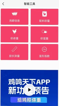鸡鸣天下预览图