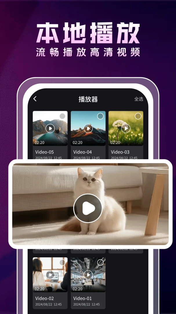 万能私人视频播放器播放设置