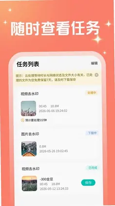 闪电去水印预览图