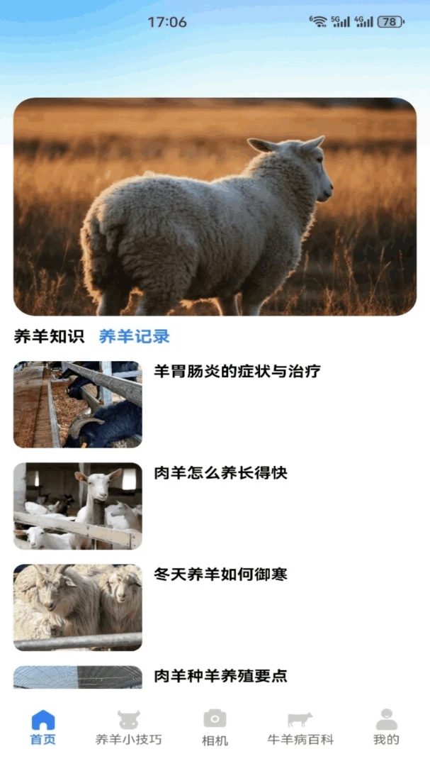 招财小羊养羊知识