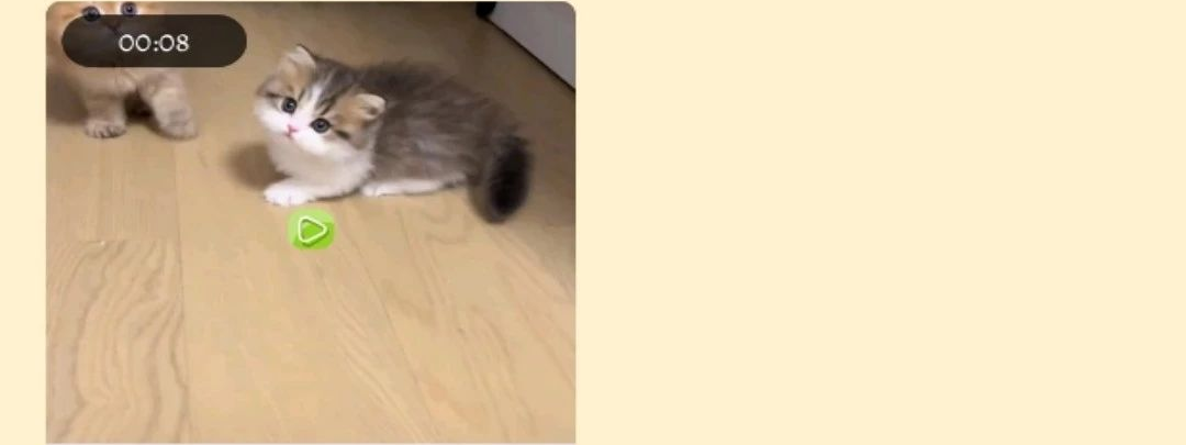 龙猫合合宠物档案