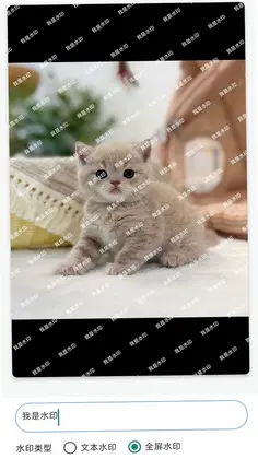 灵图秀预览图