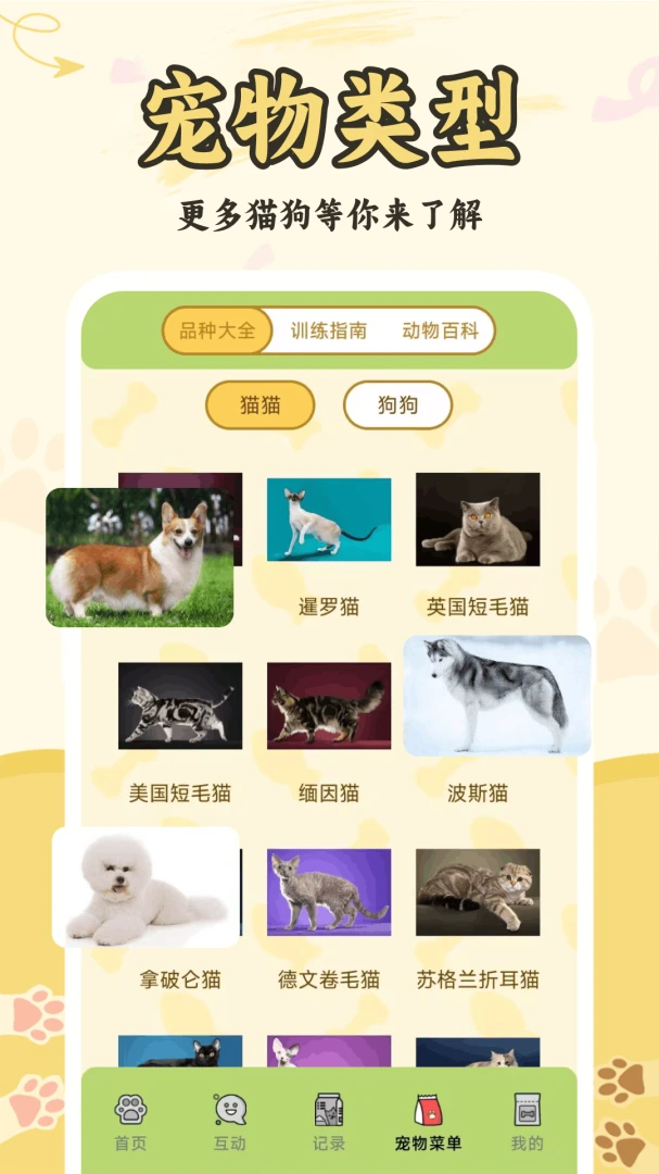 è�����ｻ����������ȫ�ɿ�