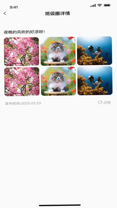 托辅云最新版预览图