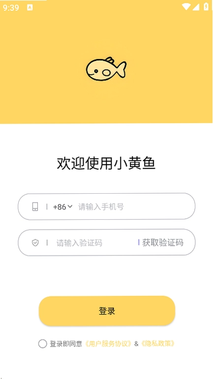 小黄鱼预览图