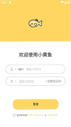 小黄鱼预览图
