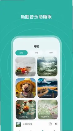 S SANSUI(山水蓝牙耳机)预览图