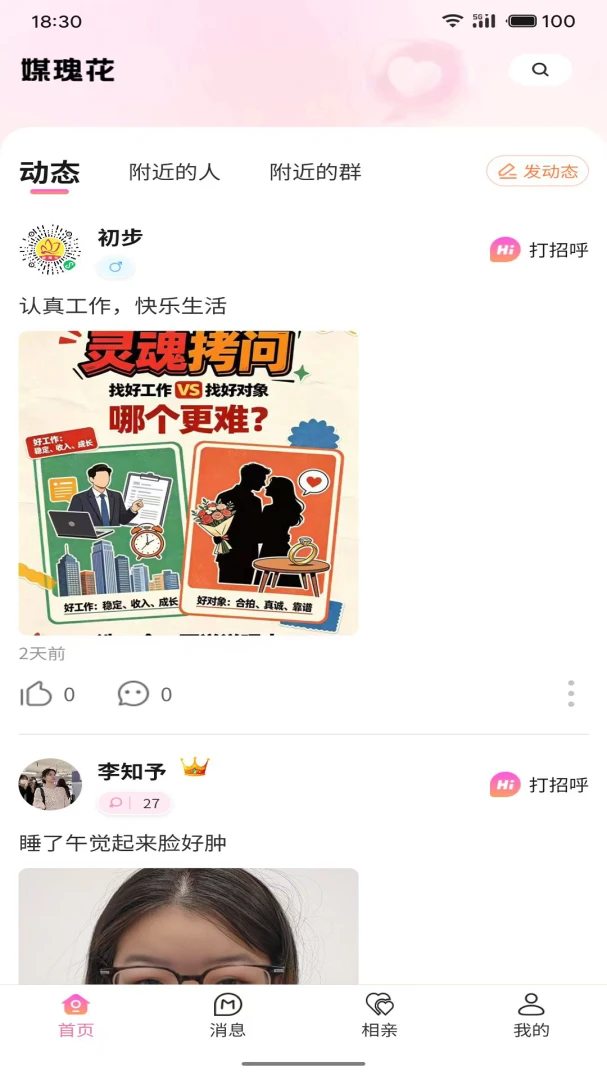 媒瑰花预览图