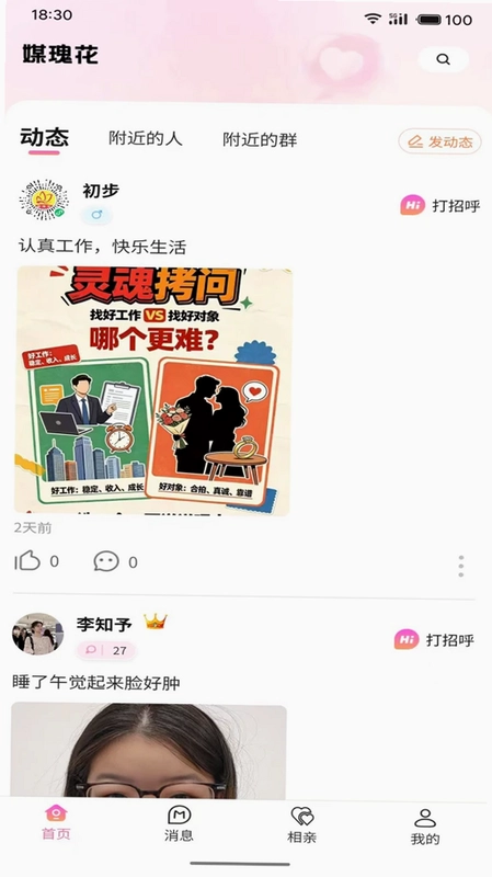 媒瑰花预览图