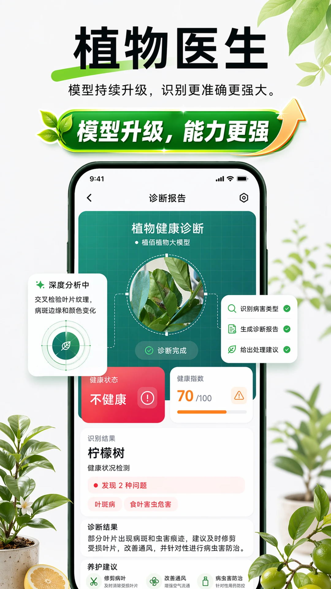 植侣养护日历