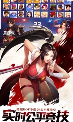 拳皇·命运预览图