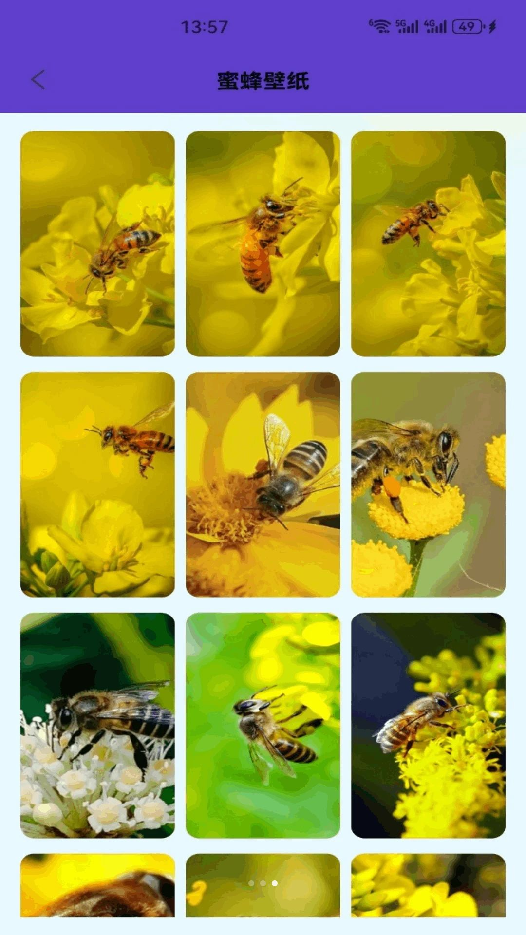 蜂小密话术库