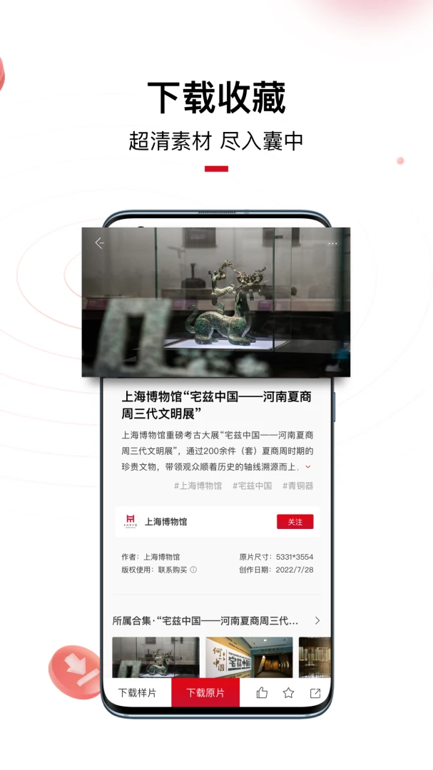 IP SHANGHAI 资源展示