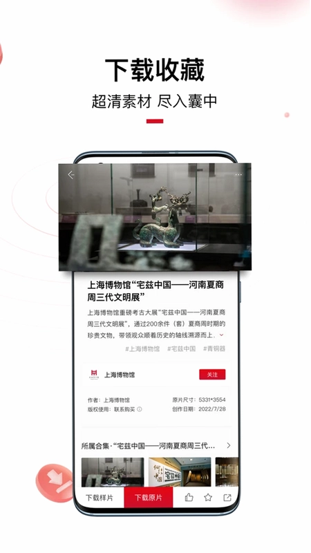 IP SHANGHAI预览图