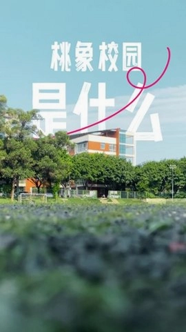桃象预览图