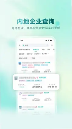 龙易查预览图